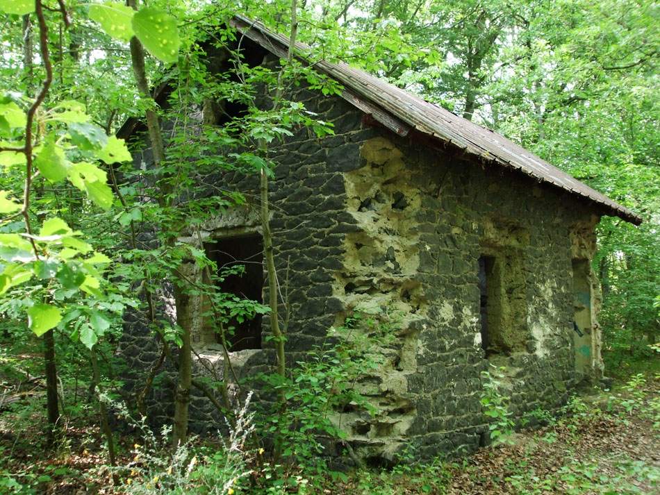 Überwachsene Steinruine im Wald