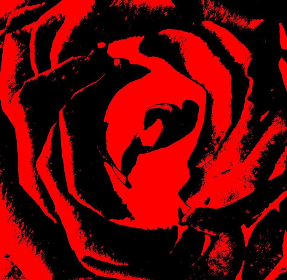 Rose auf Rot reduziert, hoher Kontrast